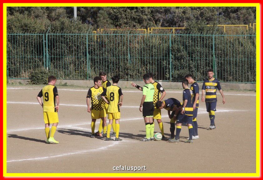 200301 Cepha_Mazara 066.jpg
